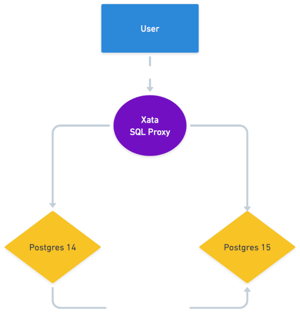 Xata clusters and proxy