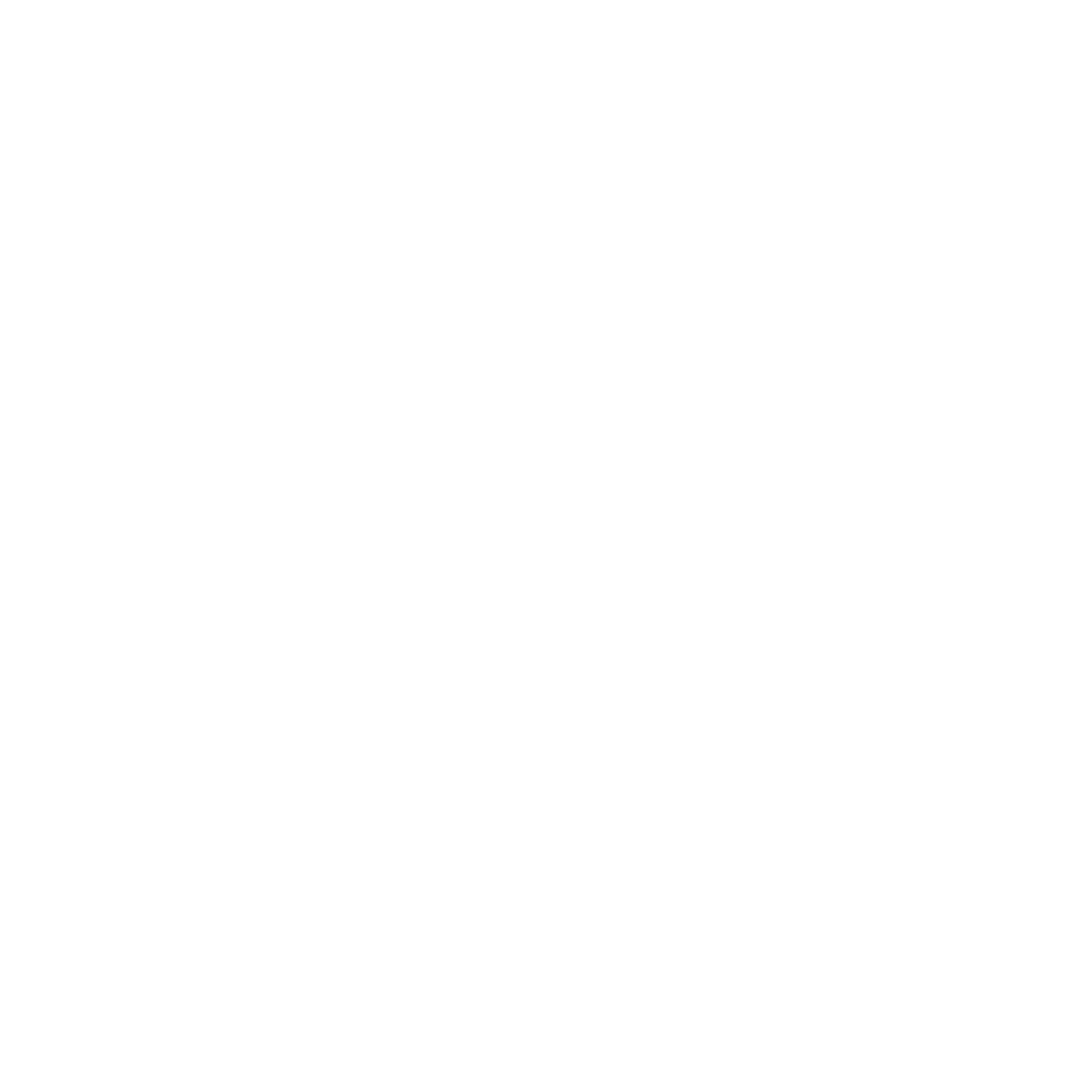 Data Privacy Icon